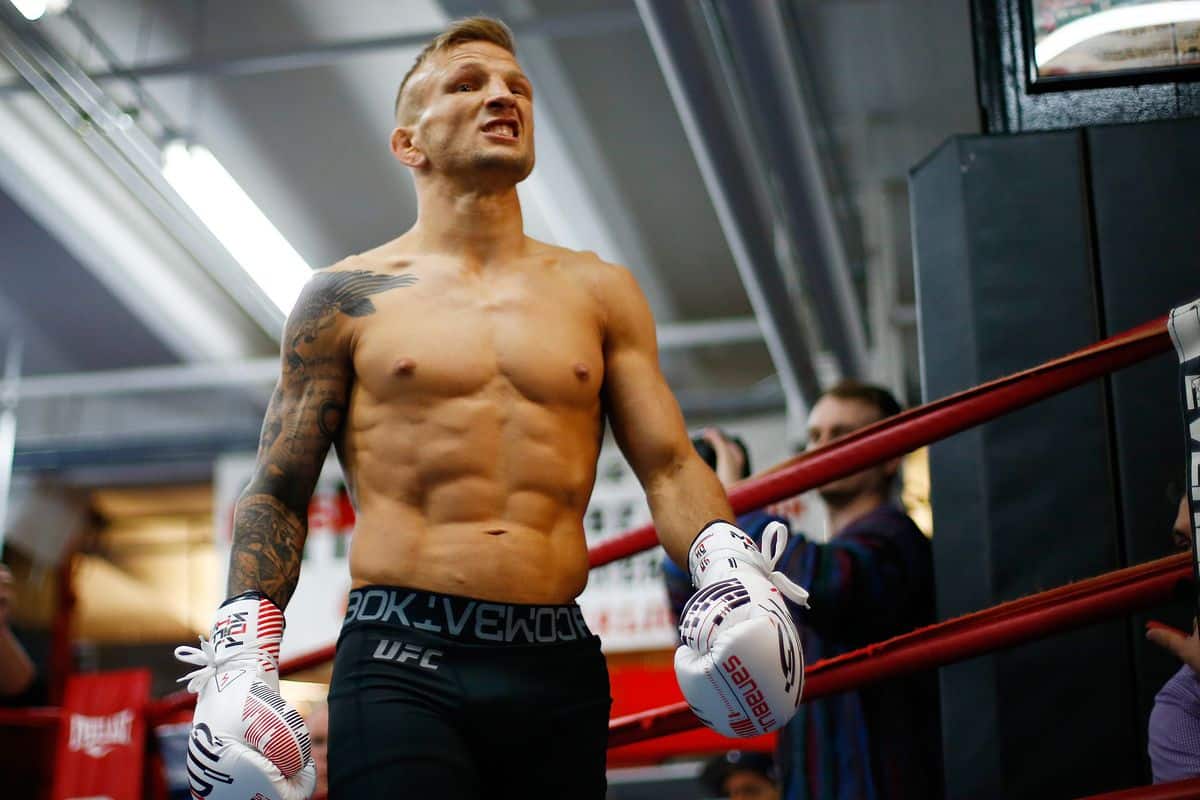 TJ Dillashaw