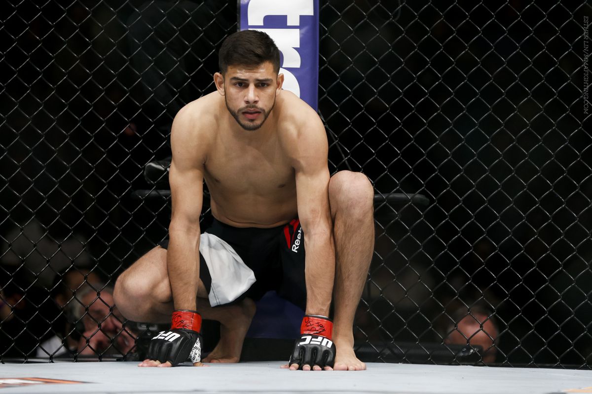 UFC