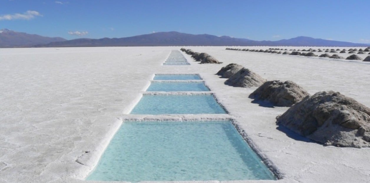 mineria en Salta