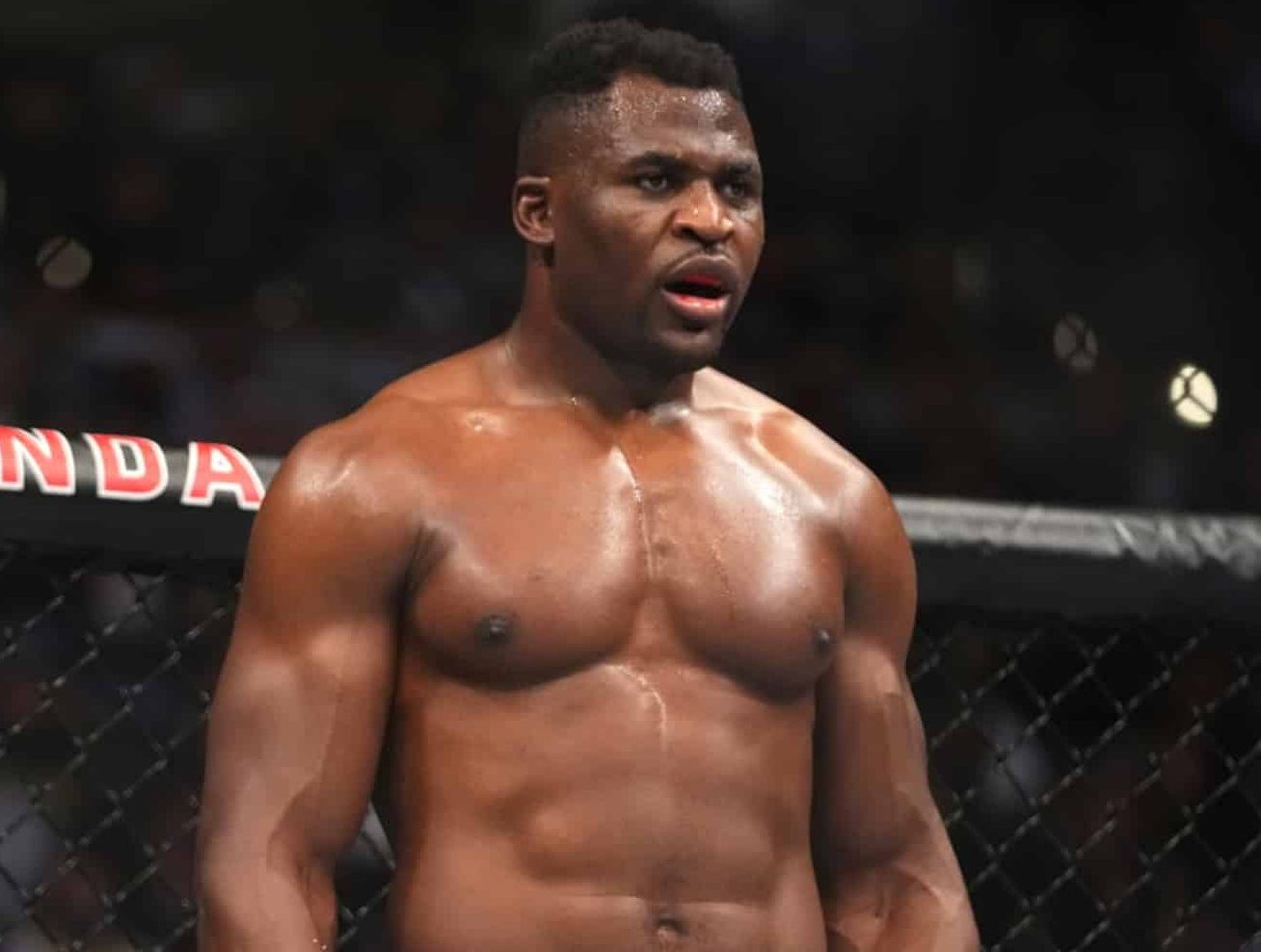 Francis Ngannou