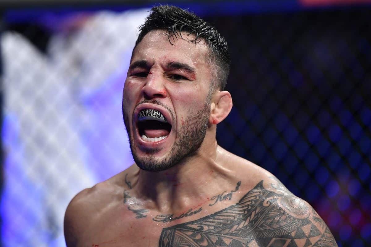 Brad Tavares