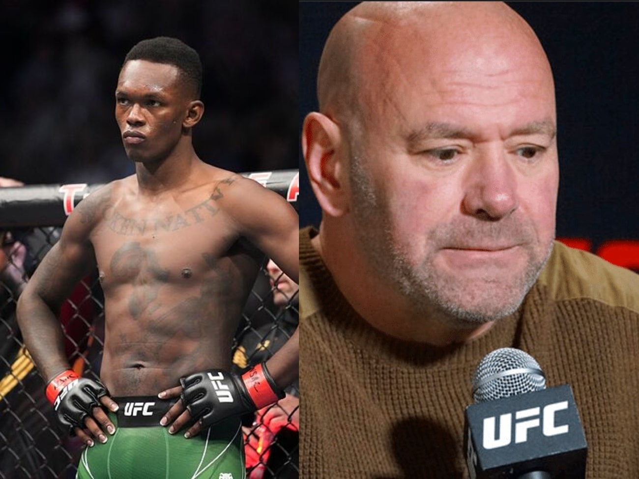 Dana White