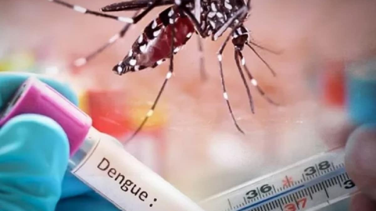 dengue en Salta