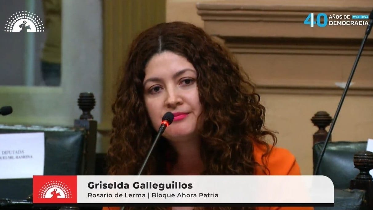 Griselda Galleguillos - Ahora Patria