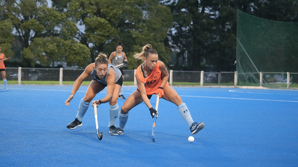 Las Leonas