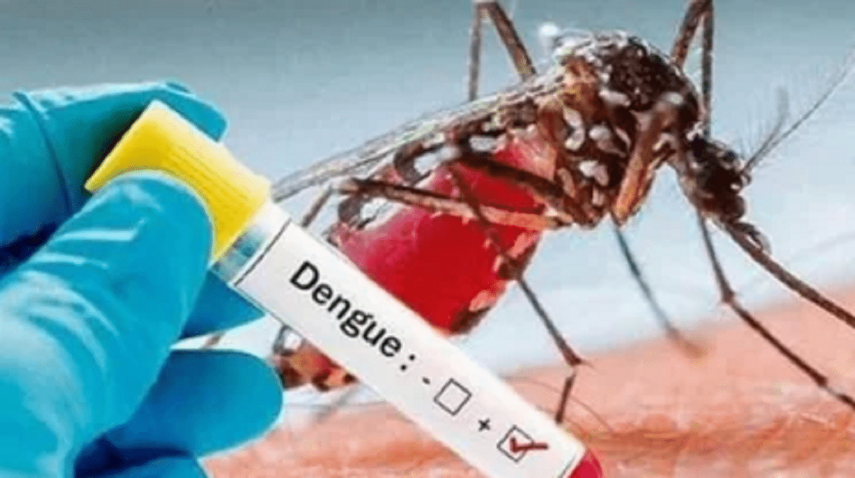 Dengue en Salta