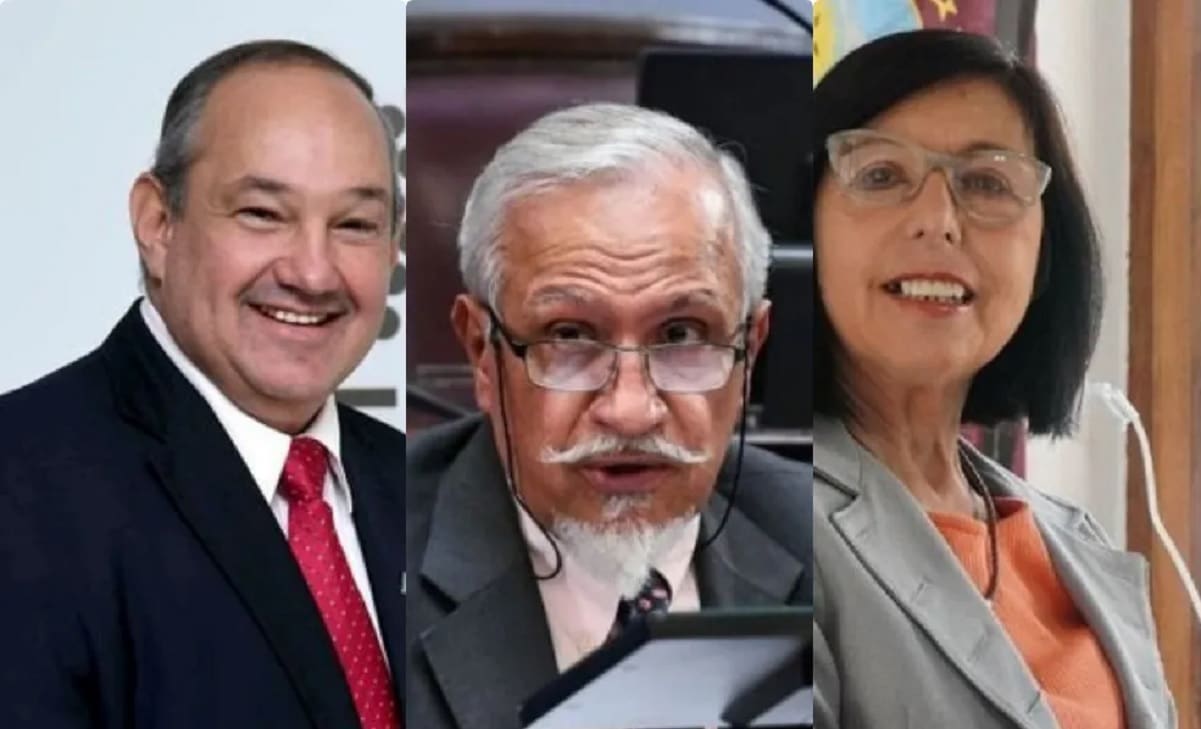 Senadores nacionales
