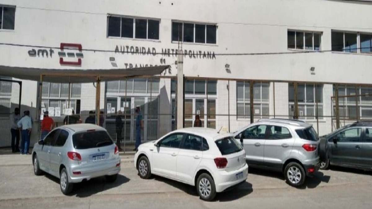 Taxis y remises - AMT