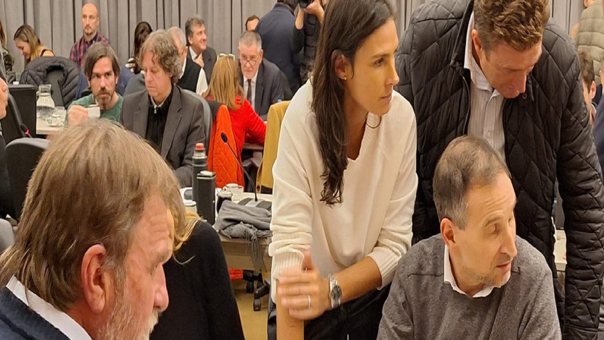 Pamela Calletti en Comisión de Diputados