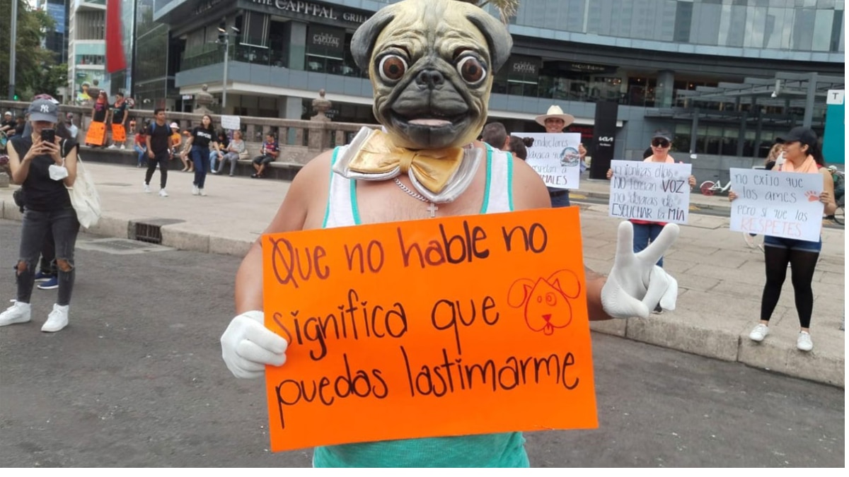 Violencia animal - imagen descriptiva