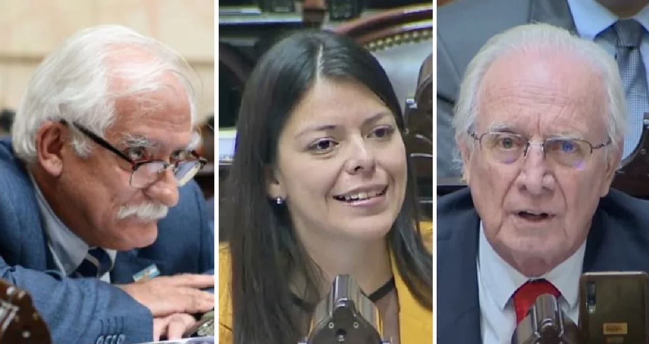 diputados libertarios