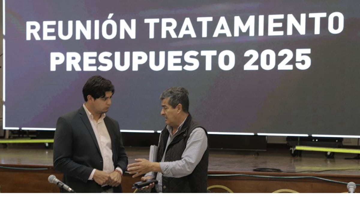 Franco Hernández Berni - Presupuesto 2025