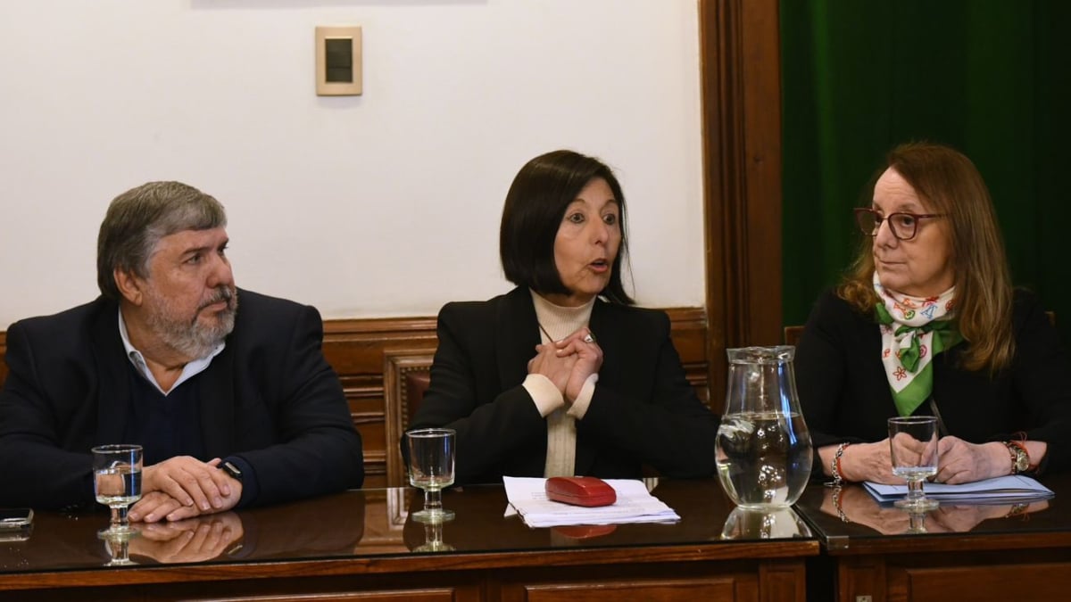 Giménez, Alicia Kirchner y Mayans