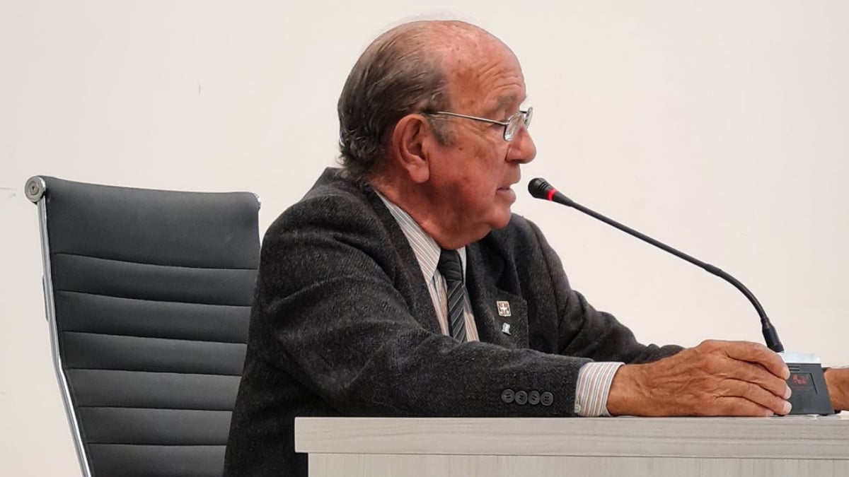 Saravia Toledo
