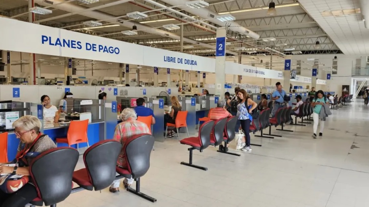 Impuestos Municipalidad de Salta