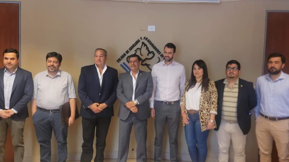 Leavy - Caja de Abogados