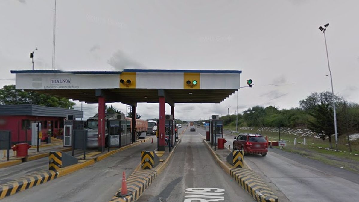 Peaje cabeza de buey