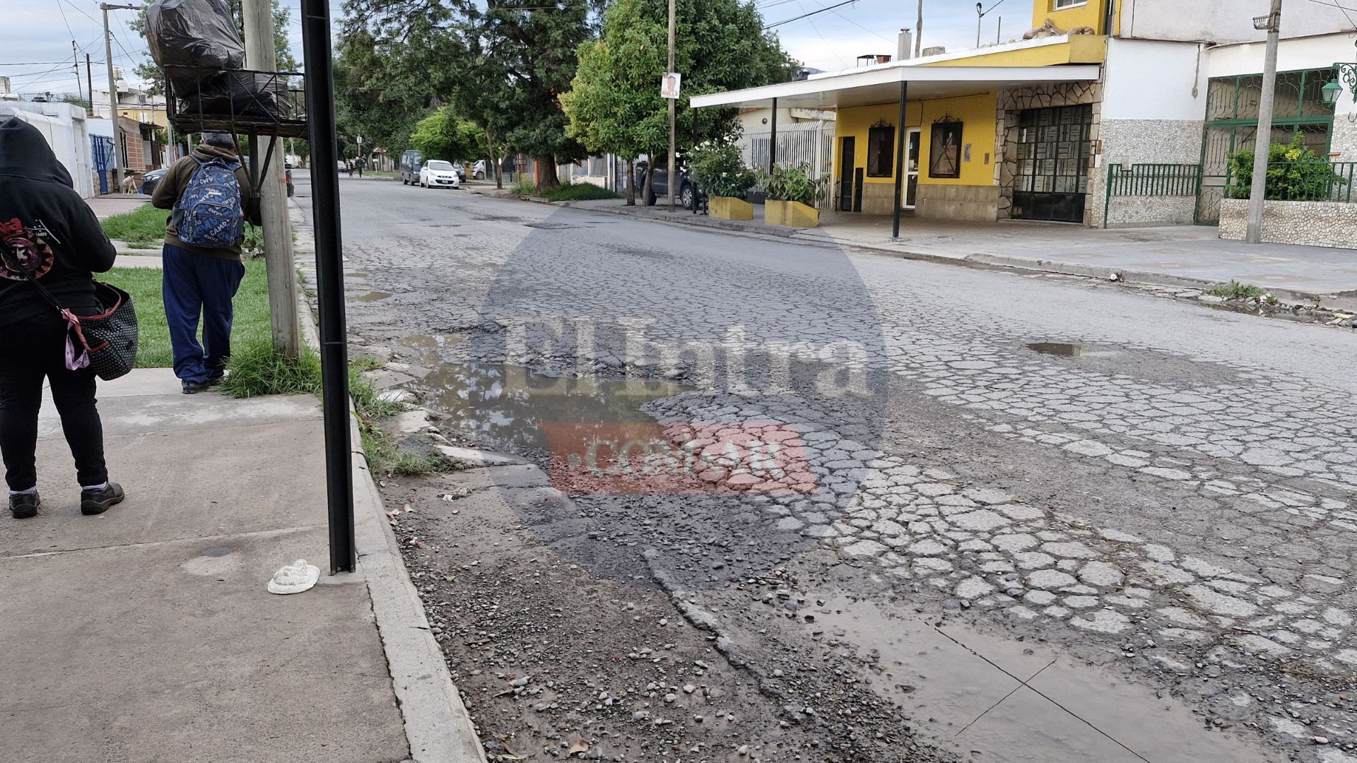 Baches