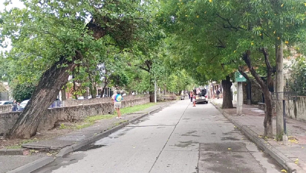 Canal calle Esteco