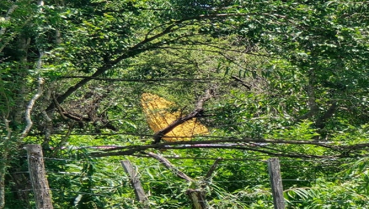 Avioneta estrellada