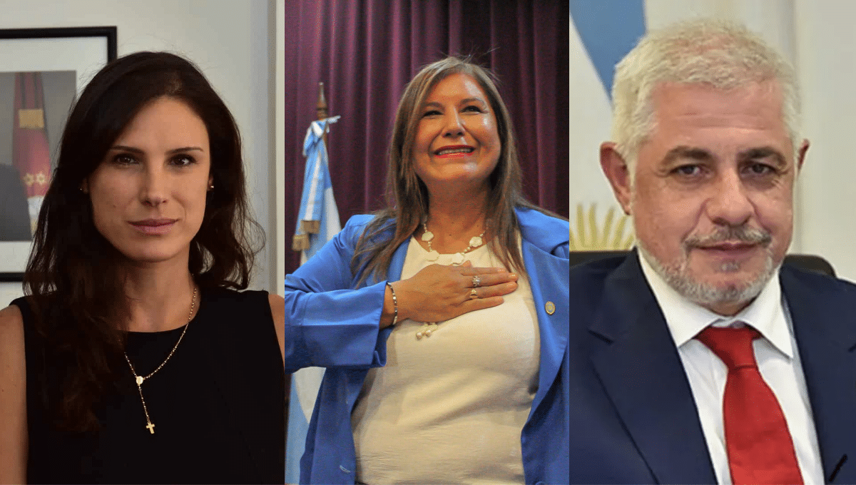 Diputados de Gustavo Sáenz
