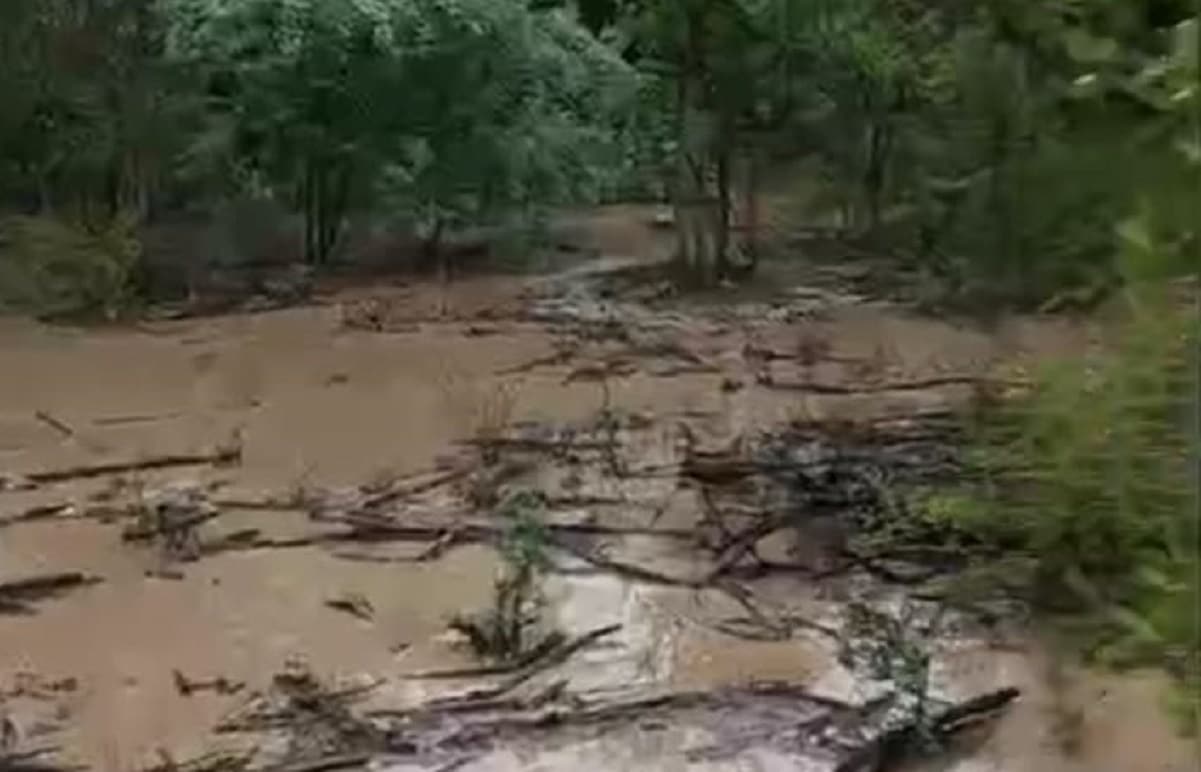 La Puntana