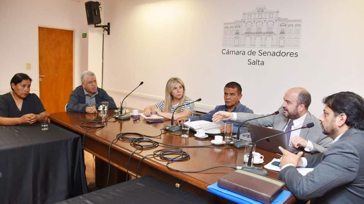 Docentes