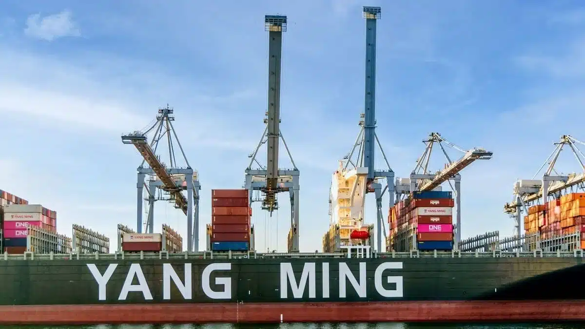 China Day en Salta: profundizan vínculos comerciales y busca inversiones